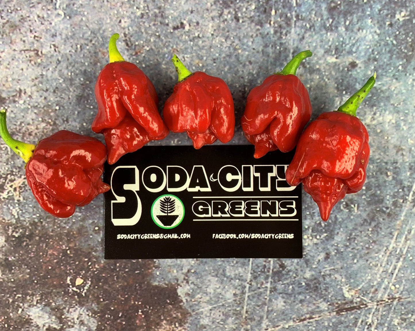 Trinidad Scorpion Pepper Seeds
