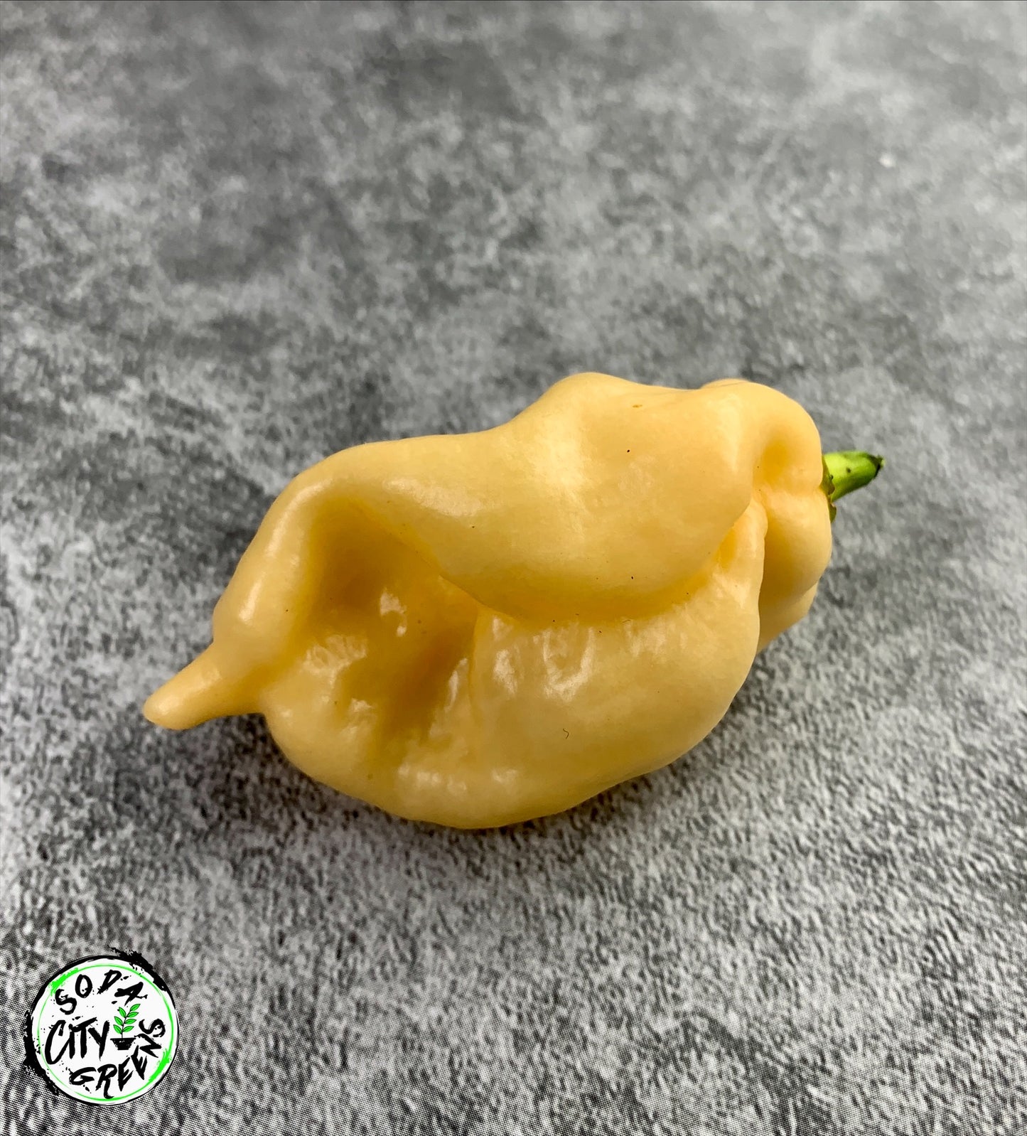 Peach Ghost Pepper Seeds