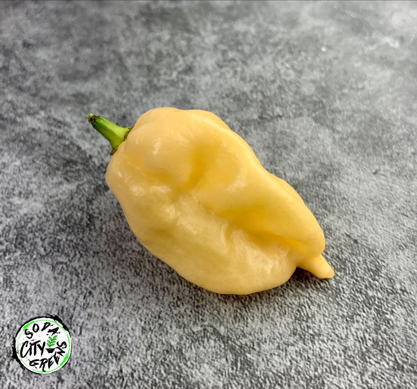 Peach Ghost Pepper Seeds