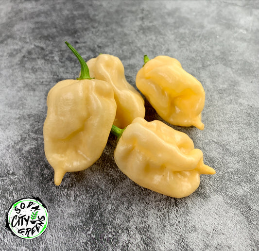 Peach Ghost Pepper Seeds