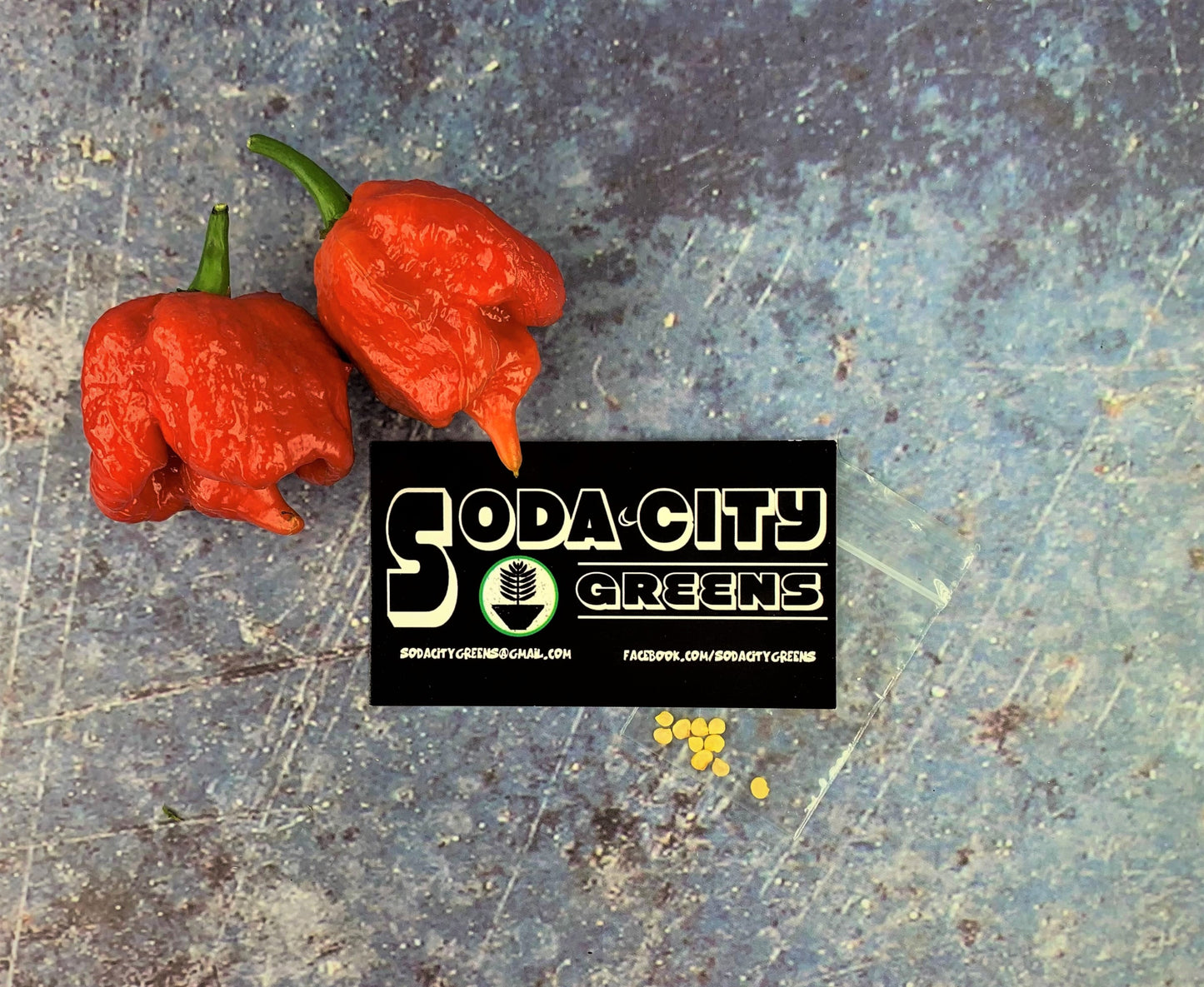 Trinidad Scorpion Pepper Seeds