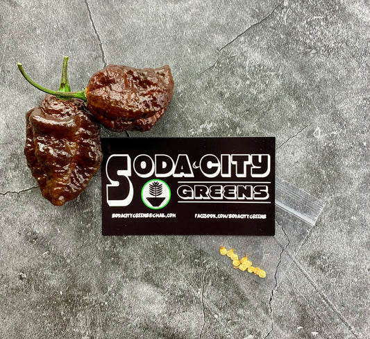 Chocolate Scorpion Pepper Seeds