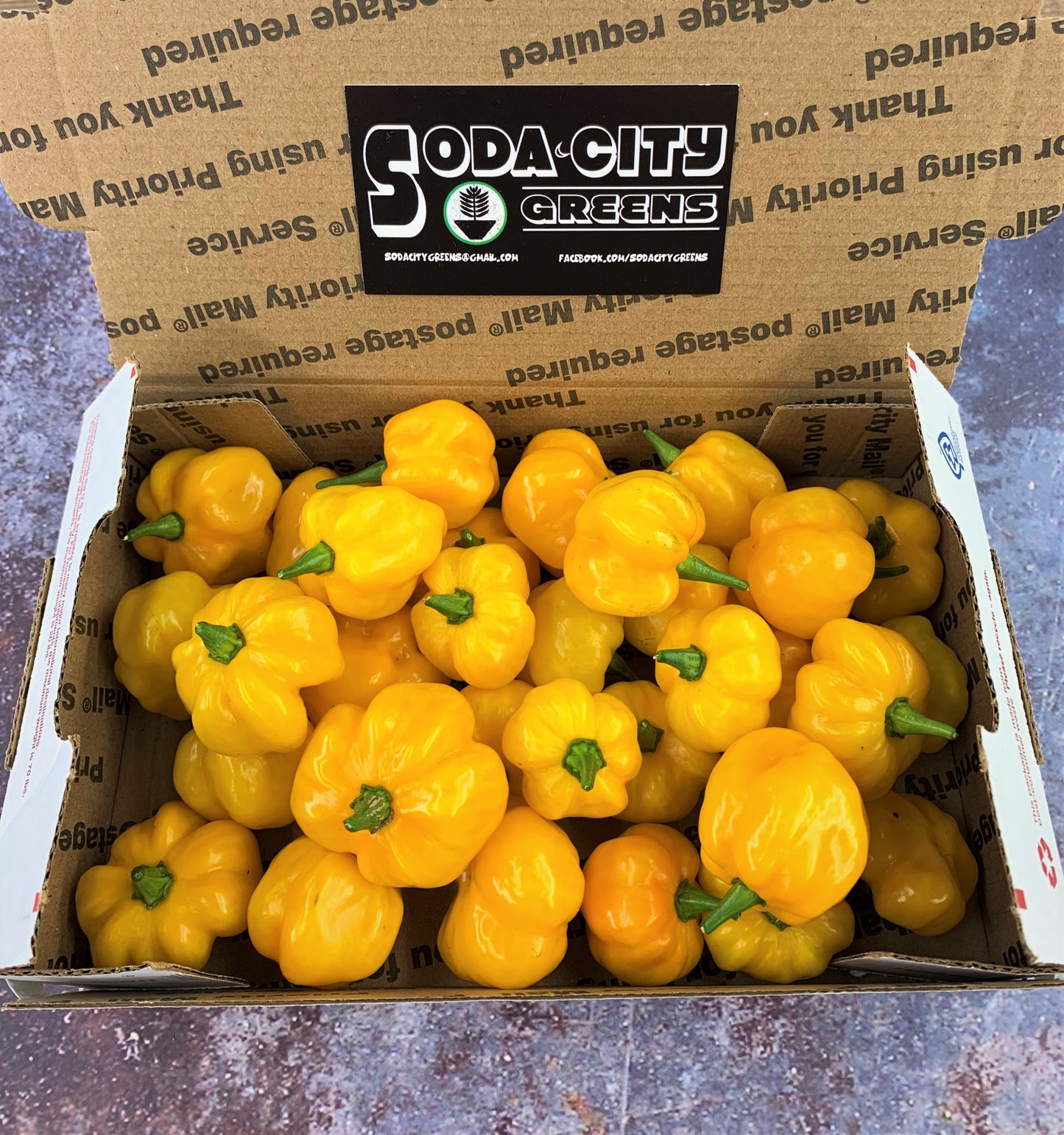 Fresh Pepper Boxes