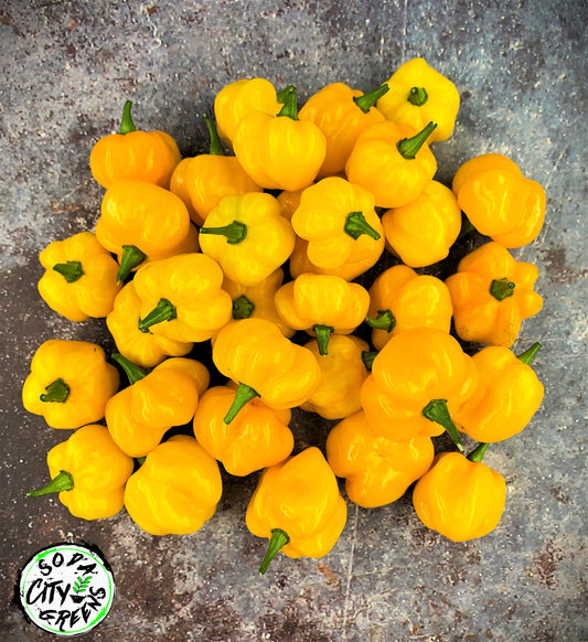 Yellow Scotch Bonnet Pepper Seeds
