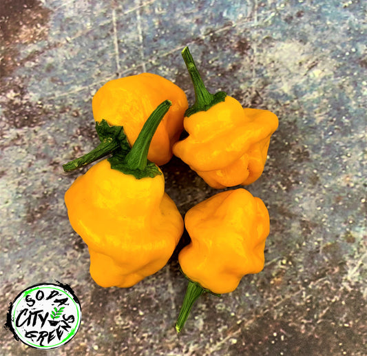 Jamaican Scotch Bonnet Pepper Seeds