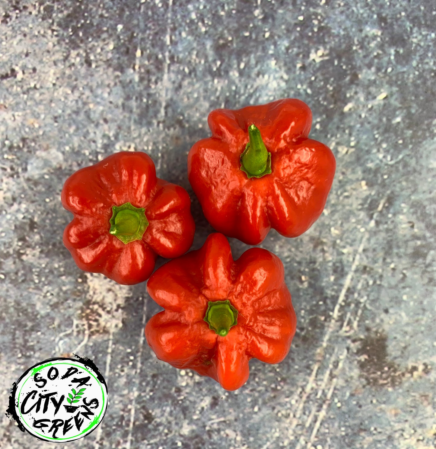 Sweet Bonnet (Heatless Scotch Bonnet) Pepper Seeds