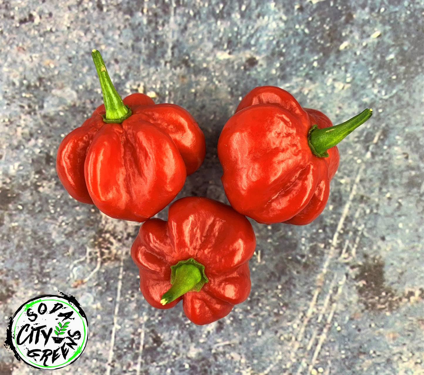 Sweet Bonnet (Heatless Scotch Bonnet) Pepper Seeds