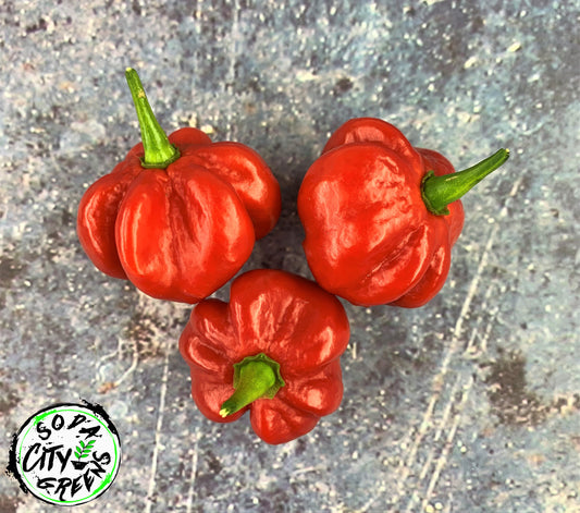 Red Scotch Bonnet Pepper Seeds
