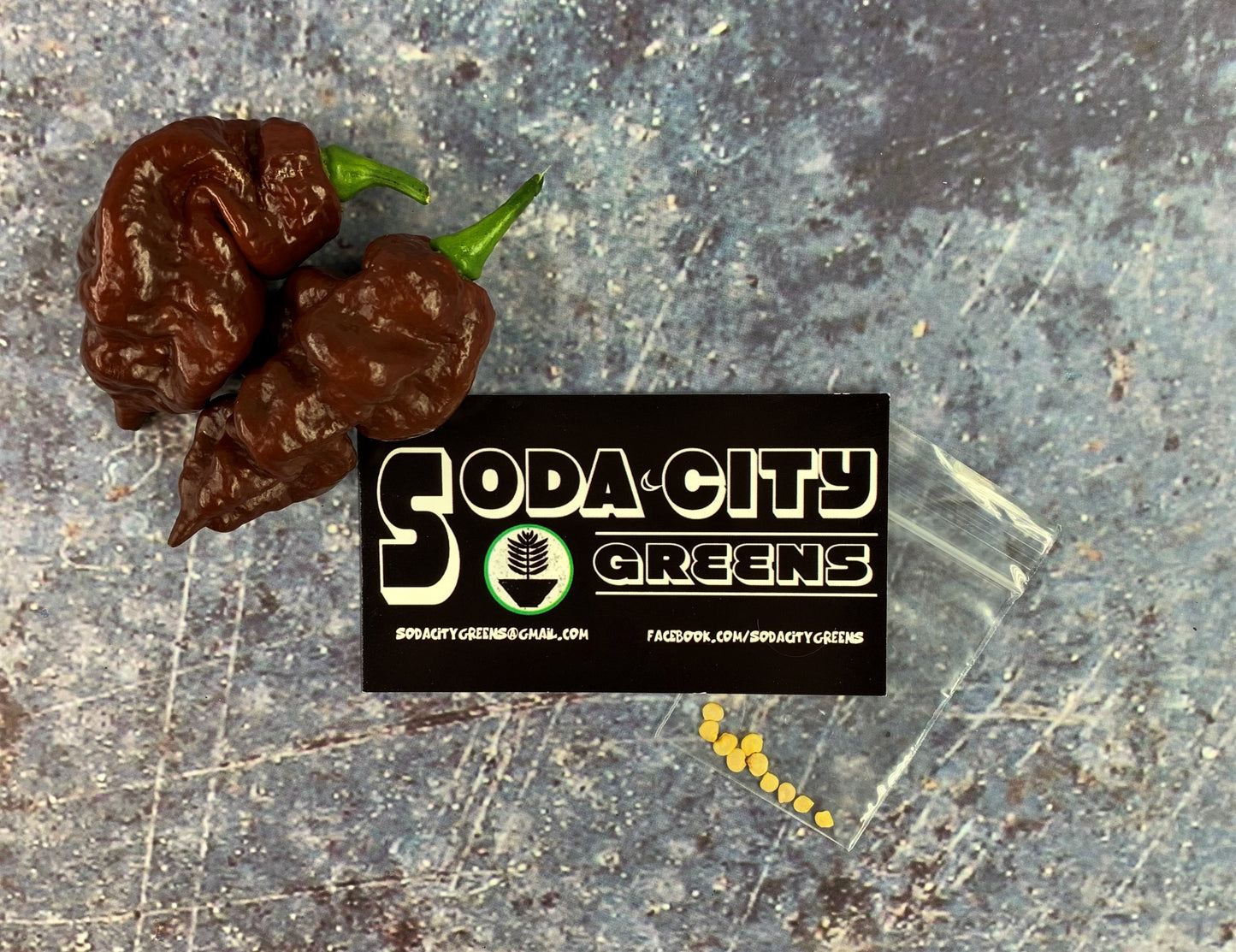 Chocolate Carboruga Pepper Seeds