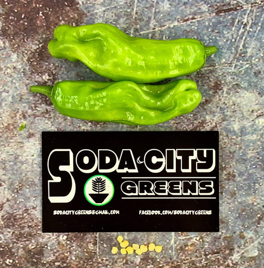Shishito Pepper Seeds