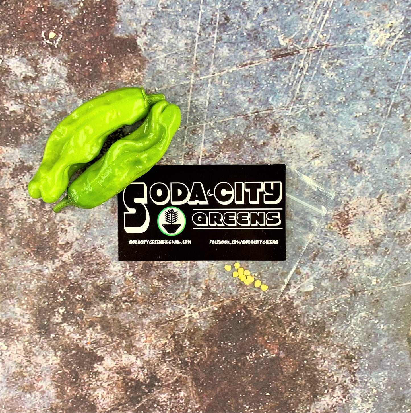 Shishito Pepper Seeds