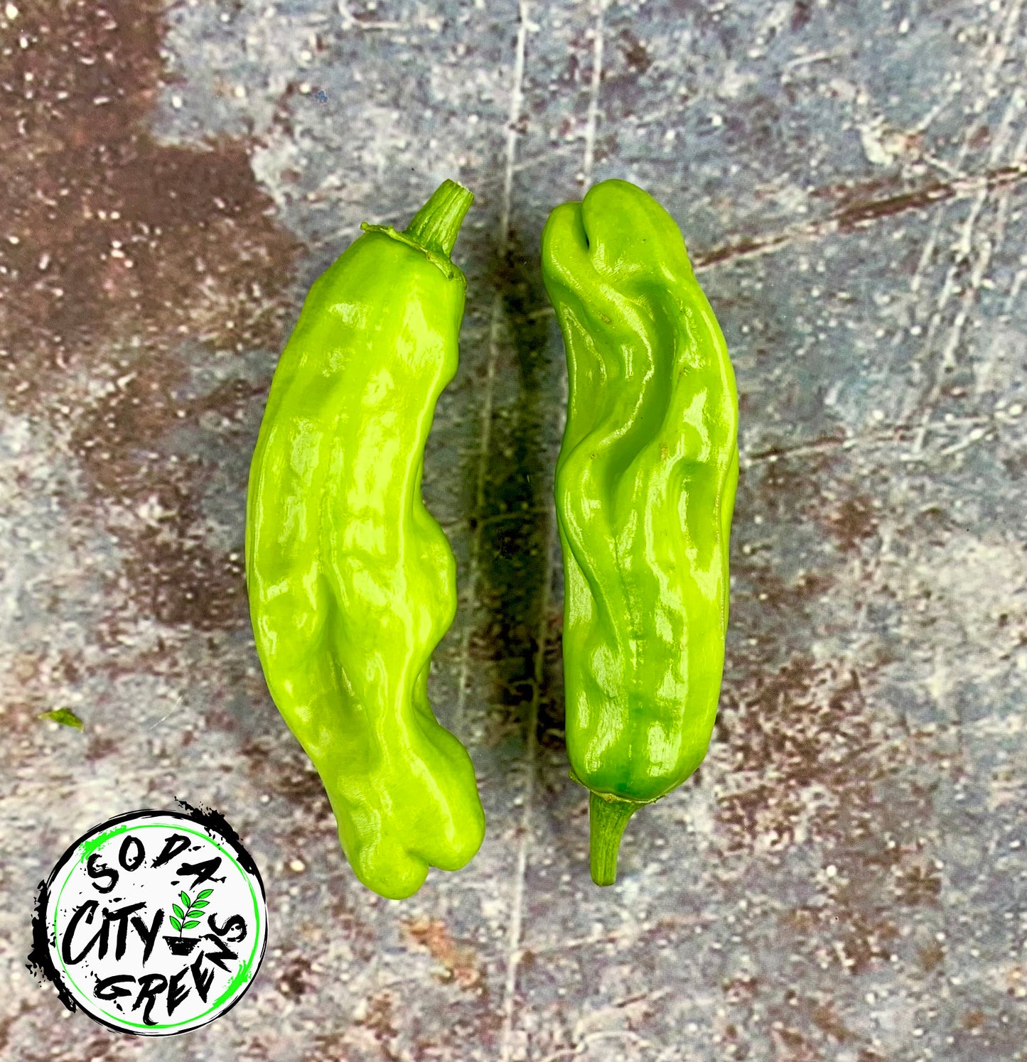 Sweet Heat Pepper Seed Variety Pack (You choose!)