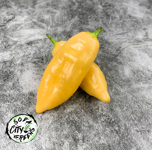Sugar Rush Peach Pepper Live Plants