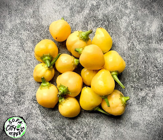 Sugar Rush Peachadew Pepper Seeds