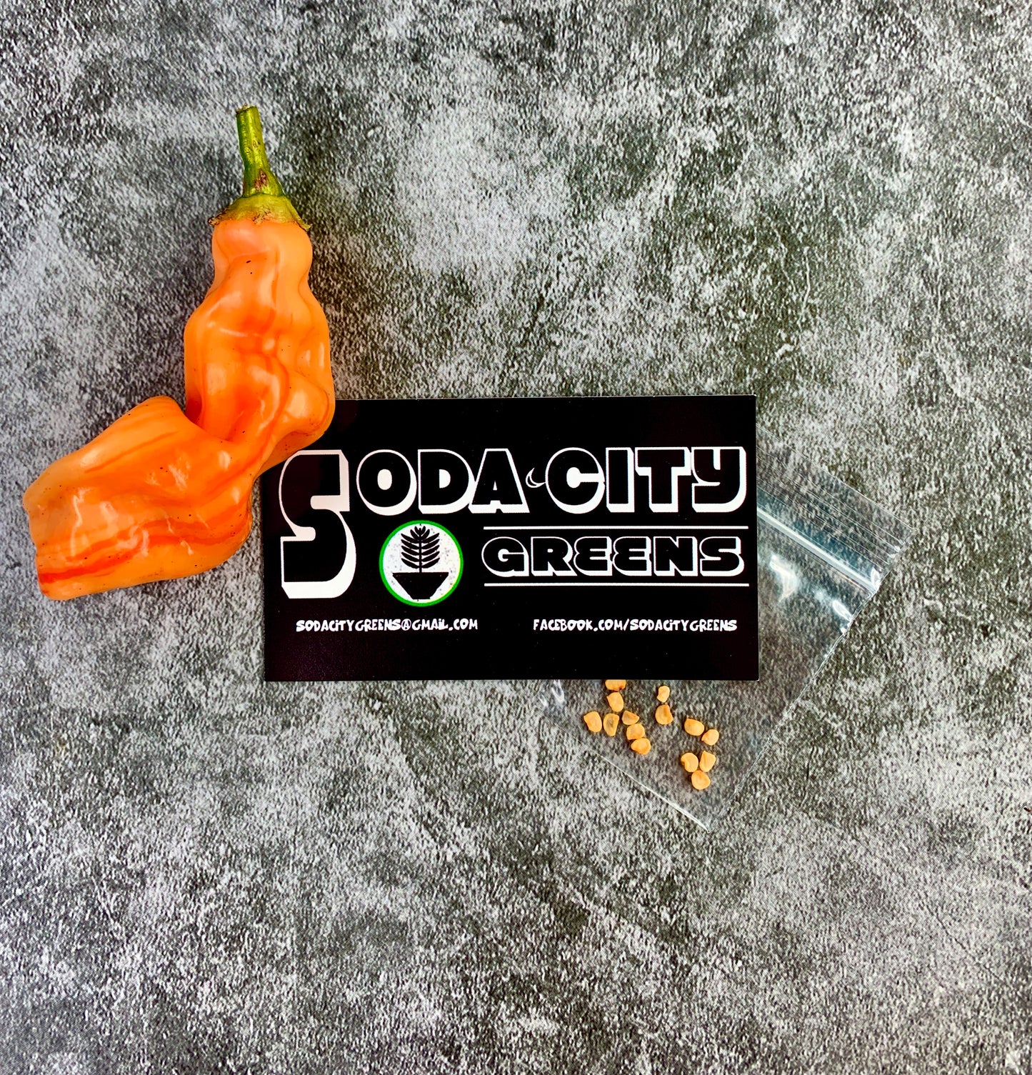 Sugar Rush Stripey Pepper Seeds