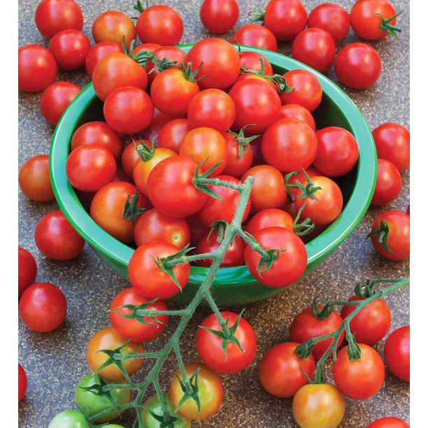 Super Sweet 100 Cherry Tomato Seeds