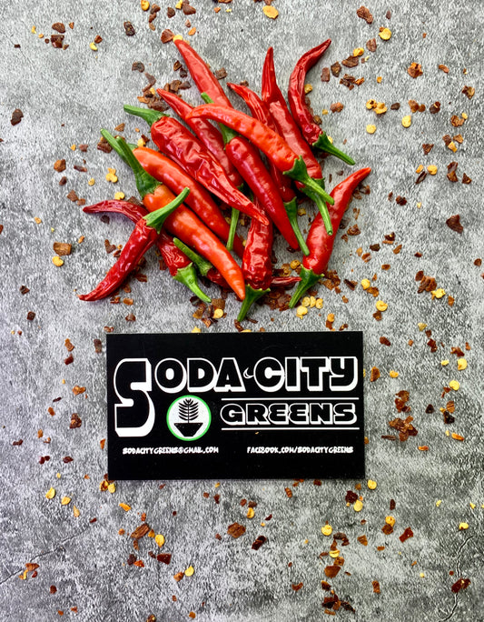 Big Thai Pepper Seeds