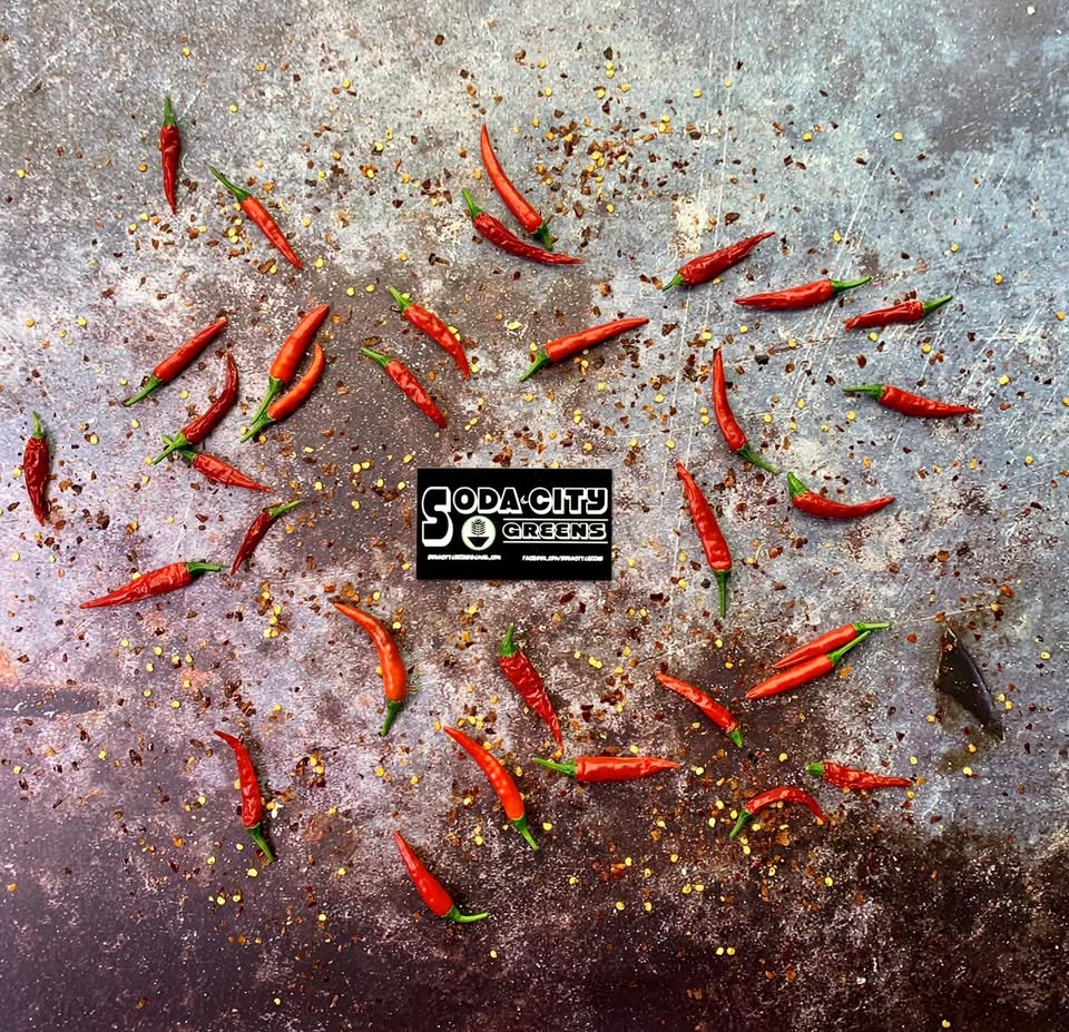 Thai Bird (Birds Eye) Pepper Seeds