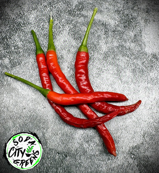 Dragon Cayenne Pepper Seeds