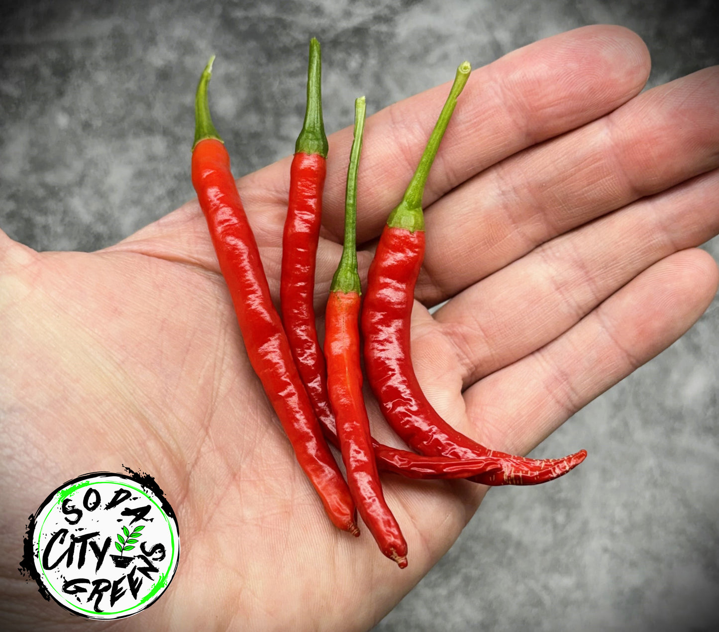 Big Thai Pepper Seeds