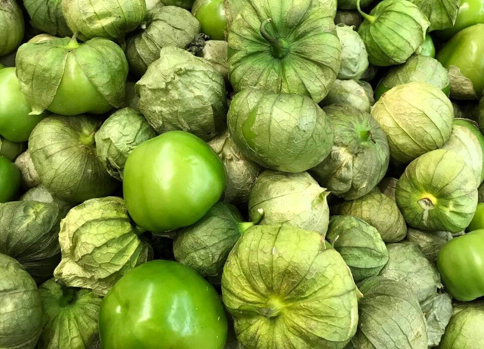 Green Tomatillo (Grande Rio Verde) Live Plants