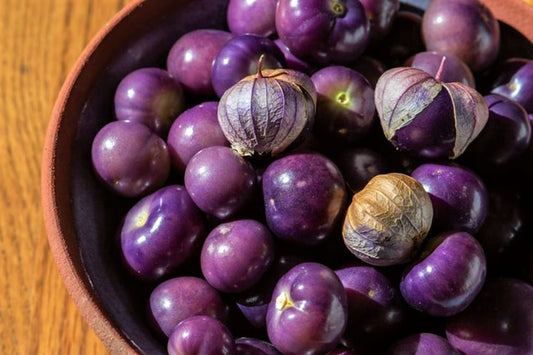 Purple Tomatillo Seeds