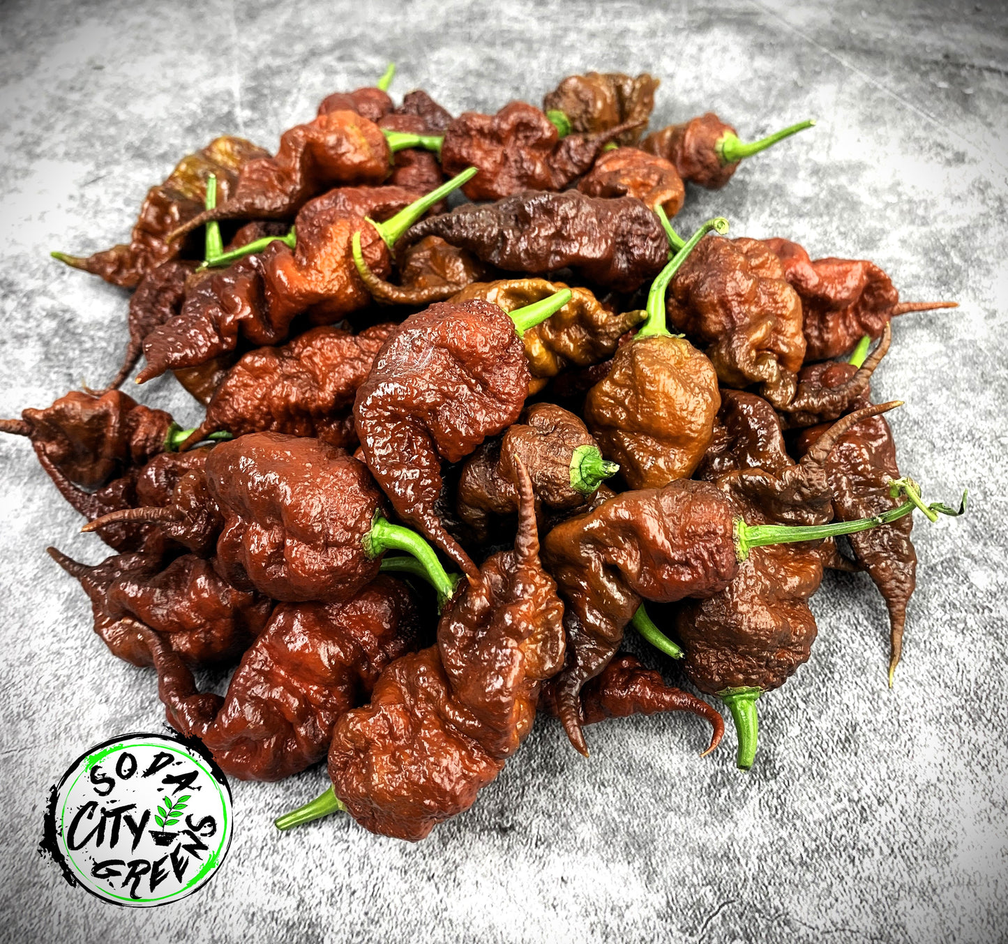 Chocolate Pepper Seed Variety Pack (You choose!)
