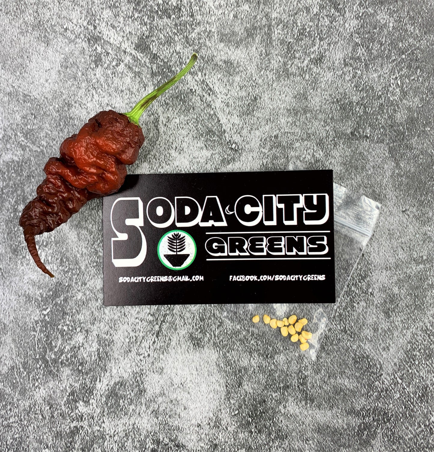 Chocolate T-Rex Pepper Seeds