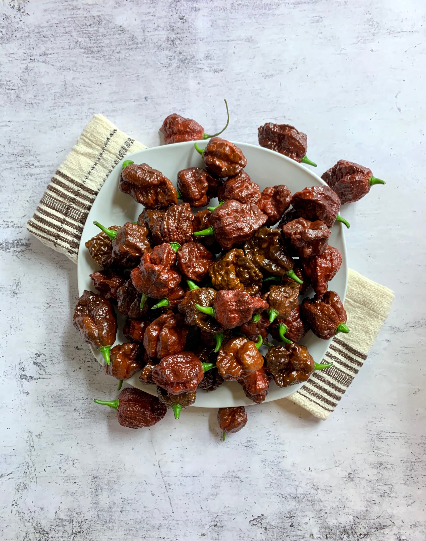 Apocalypse Chocolate Scorpion Pepper Seeds