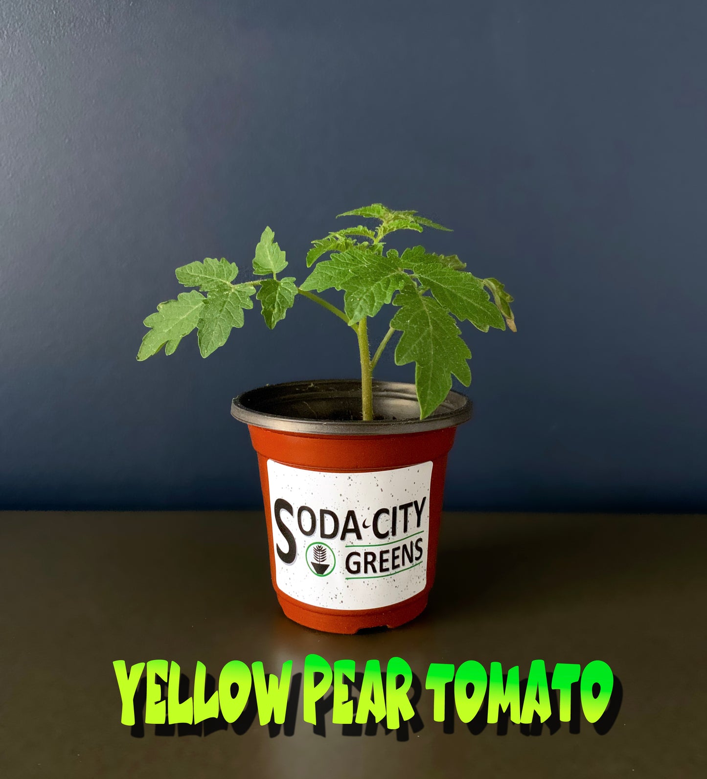 Yellow Pear Tomato Seeds